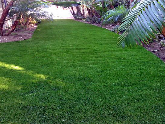 Artificial Grass Photos: Fake Turf Stirling City, California Backyard Deck Ideas, Backyard Design