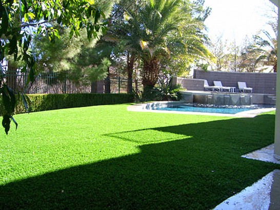 Artificial Grass Photos: Fake Turf Sutter, California Design Ideas, Beautiful Backyards