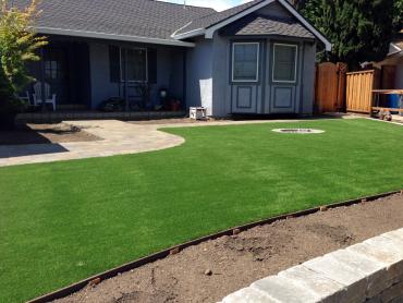 Artificial Grass Photos: Faux Grass Fieldbrook, California Landscape Design, Front Yard Landscaping Ideas
