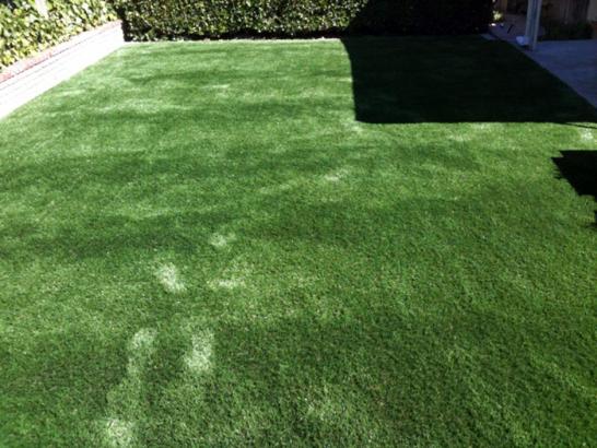 Artificial Grass Photos: Faux Grass Marysville, California Dog Parks, Backyard Design