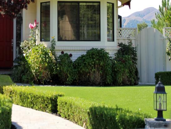 Artificial Grass Photos: Faux Grass Meridian, California Garden Ideas, Front Yard Landscape Ideas
