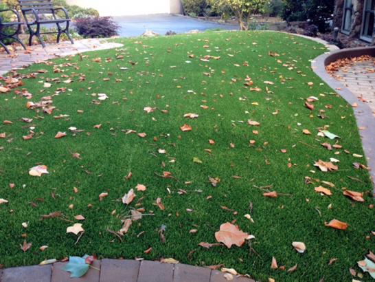 Artificial Grass Photos: Faux Grass Robbins, California Lawn And Garden, Front Yard Ideas