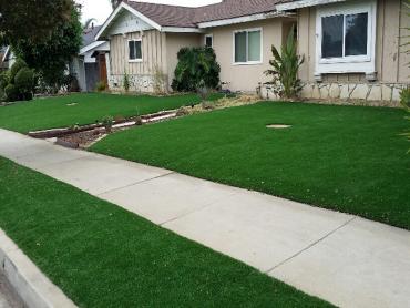 Artificial Grass Photos: Grass Carpet Bucks Lake, California Lawns, Front Yard Landscape Ideas