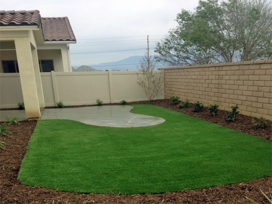 Artificial Grass Photos: Grass Carpet Colusa, California Landscape Design, Backyard Designs