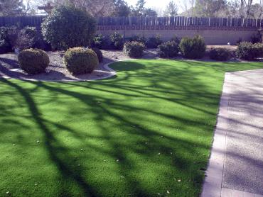 Artificial Grass Photos: Grass Carpet Milford, California Landscape Ideas, Front Yard Landscaping