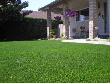 Artificial Grass Photos: Grass Carpet Olivehurst, California Landscaping, Front Yard Landscaping