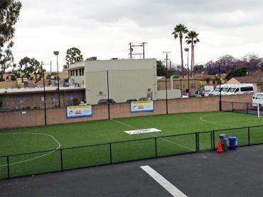 Artificial Grass Photos: Grass Carpet Stirling City, California Red Turf, Commercial Landscape