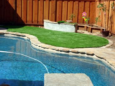 Grass Carpet Vina, California Landscape Design, Pool Designs artificial grass