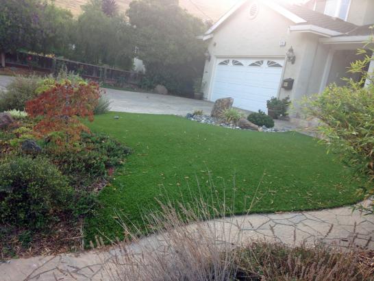Artificial Grass Photos: Grass Turf Crescent City, California Design Ideas, Front Yard Landscaping