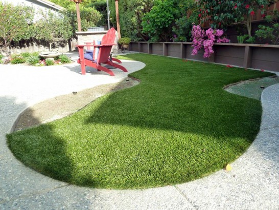 Artificial Grass Photos: Grass Turf Meridian, California Backyard Deck Ideas, Backyards