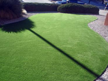 Artificial Grass Photos: Green Lawn Arbuckle, California Backyard Deck Ideas, Front Yard Landscaping