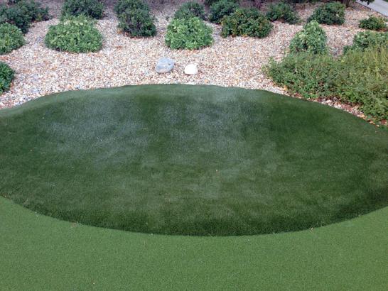 Artificial Grass Photos: Green Lawn Dobbins, California Putting Green Grass
