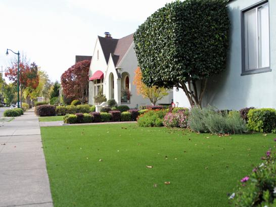 Artificial Grass Photos: Green Lawn Etna, California Roof Top, Small Front Yard Landscaping