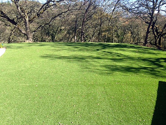 Artificial Grass Photos: Green Lawn Pine Hills, California Lawns, Recreational Areas