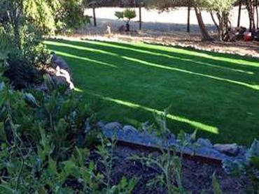 Artificial Grass Photos: How To Install Artificial Grass Cohasset, California Landscaping, Backyard Ideas