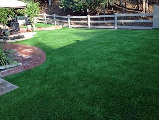 Artificial Grass Photos: How To Install Artificial Grass Junction City, California Artificial Turf For Dogs, Beautiful Backyards