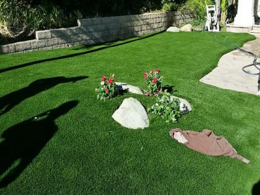 Artificial Grass Photos: How To Install Artificial Grass Montague, California Landscape Ideas, Front Yard Design