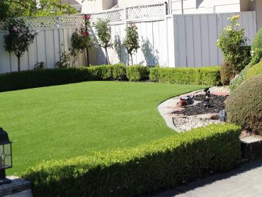 Artificial Grass Photos: How To Install Artificial Grass Susanville, California Lawns, Backyard Design
