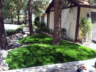 Artificial Grass Photos: Installing Artificial Grass Nubieber, California, Front Yard Ideas