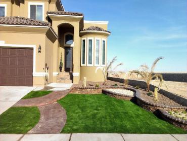 Artificial Grass Photos: Lawn Services Carrick, California Design Ideas, Front Yard Landscaping