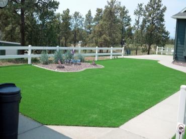 Artificial Grass Photos: Lawn Services Gazelle, California Paver Patio, Front Yard