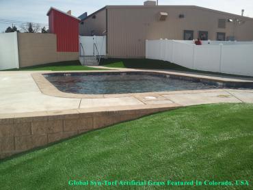 Artificial Grass Photos: Lawn Services Red Bluff, California Landscape Photos, Swimming Pool Designs