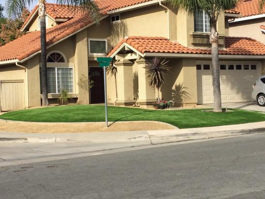 Artificial Grass Photos: Lawn Services Weott, California Roof Top, Front Yard Landscaping