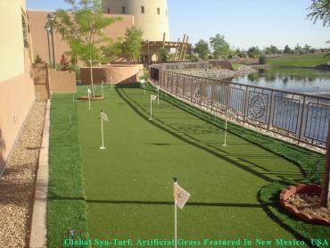 Outdoor Carpet Central Valley (historical), California Gardeners, Backyard Design artificial grass