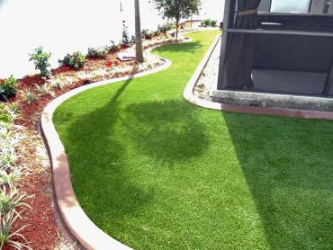 Artificial Grass Photos: Outdoor Carpet Daphnedale Park, California Paver Patio, Backyard Designs