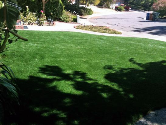 Artificial Grass Photos: Outdoor Carpet Grimes, California Backyard Deck Ideas, Front Yard Ideas