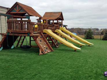 Artificial Grass Photos: Outdoor Carpet Junction City, California Kids Indoor Playground, Commercial Landscape