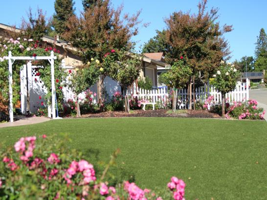Artificial Grass Photos: Outdoor Carpet Lakeport, California Backyard Playground, Front Yard Design