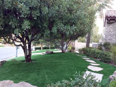 Artificial Grass Photos: Plastic Grass Albion, California Backyard Deck Ideas, Landscaping Ideas For Front Yard