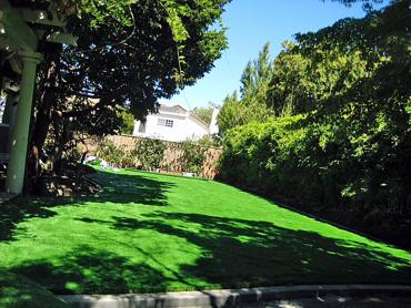 Artificial Grass Photos: Plastic Grass Chico, California Design Ideas, Backyard Design