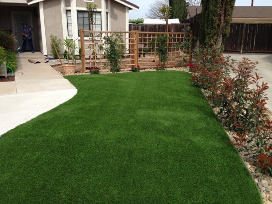Artificial Grass Photos: Plastic Grass Cleone, California Landscape Photos, Front Yard Landscaping
