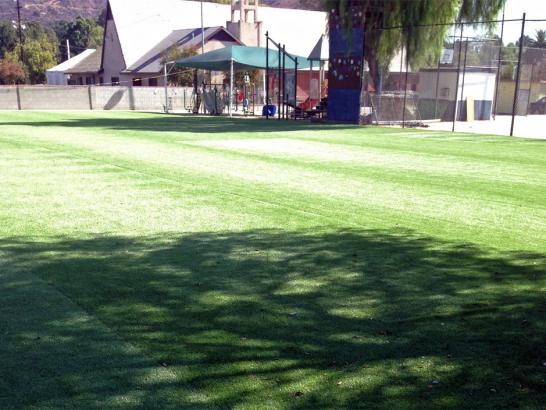 Artificial Grass Photos: Plastic Grass Lake Davis, California Backyard Soccer, Parks