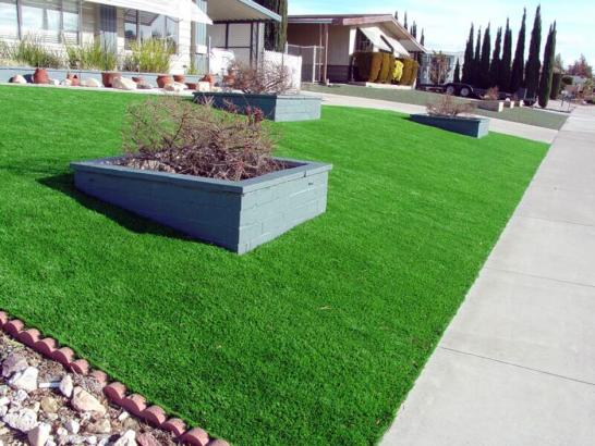 Artificial Grass Photos: Plastic Grass Leggett, California Landscaping, Front Yard Ideas