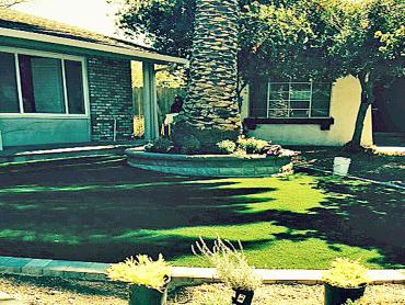 Artificial Grass Photos: Plastic Grass Trinity Center, California Home And Garden, Small Front Yard Landscaping