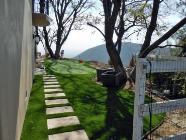 Artificial Grass Photos: Synthetic Grass Bayside, California Home And Garden, Backyard