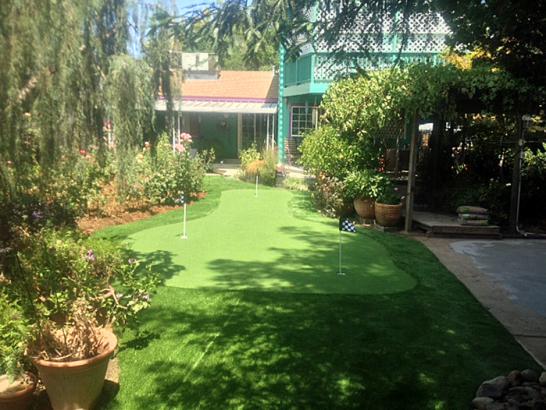 Artificial Grass Photos: Synthetic Grass Cost Rough and Ready, California Roof Top