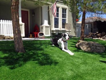 Artificial Grass Photos: Synthetic Grass Grass Valley, California Pictures Of Dogs, Front Yard Ideas