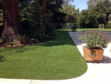 Artificial Grass Photos: Synthetic Grass Janesville, California Lawns, Small Front Yard Landscaping