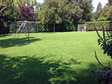 Artificial Grass Photos: Synthetic Grass Meridian, California Backyard Soccer, Beautiful Backyards