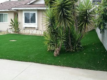 Artificial Grass Photos: Synthetic Grass Richvale, California Landscaping Business, Front Yard Landscaping Ideas