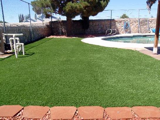 Artificial Grass Photos: Synthetic Lawn Burney, California Hotel For Dogs, Swimming Pool Designs