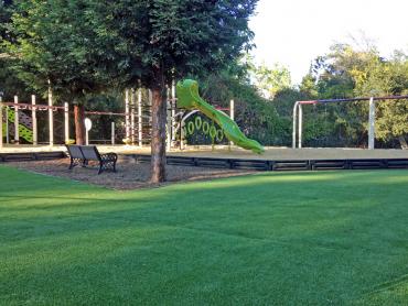 Artificial Grass Photos: Synthetic Lawn Clipper Mills, California City Landscape, Recreational Areas