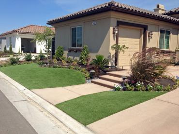 Artificial Grass Photos: Synthetic Lawn Maxwell, California Backyard Playground, Small Front Yard Landscaping