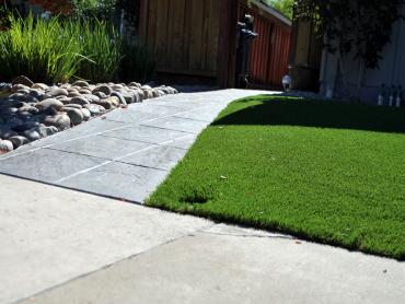 Artificial Grass Photos: Synthetic Lawn McKinleyville, California City Landscape, Front Yard Landscaping Ideas