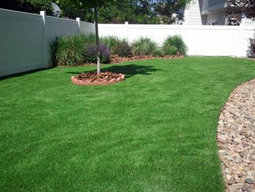 Artificial Grass Photos: Synthetic Lawn Mineral, California Design Ideas, Backyard Designs