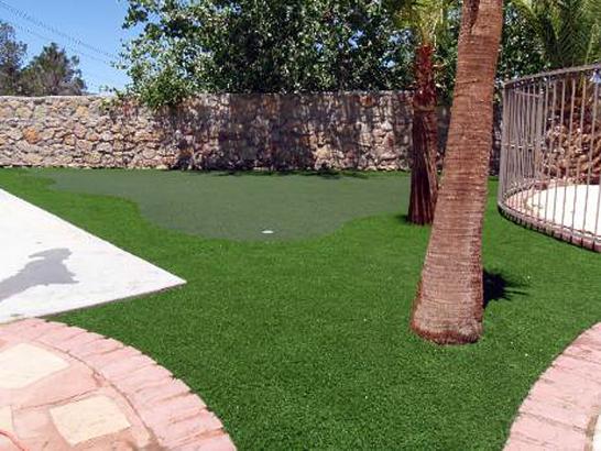 Synthetic Lawn Mineral, California Putting Green Grass, Backyard Landscape Ideas artificial grass